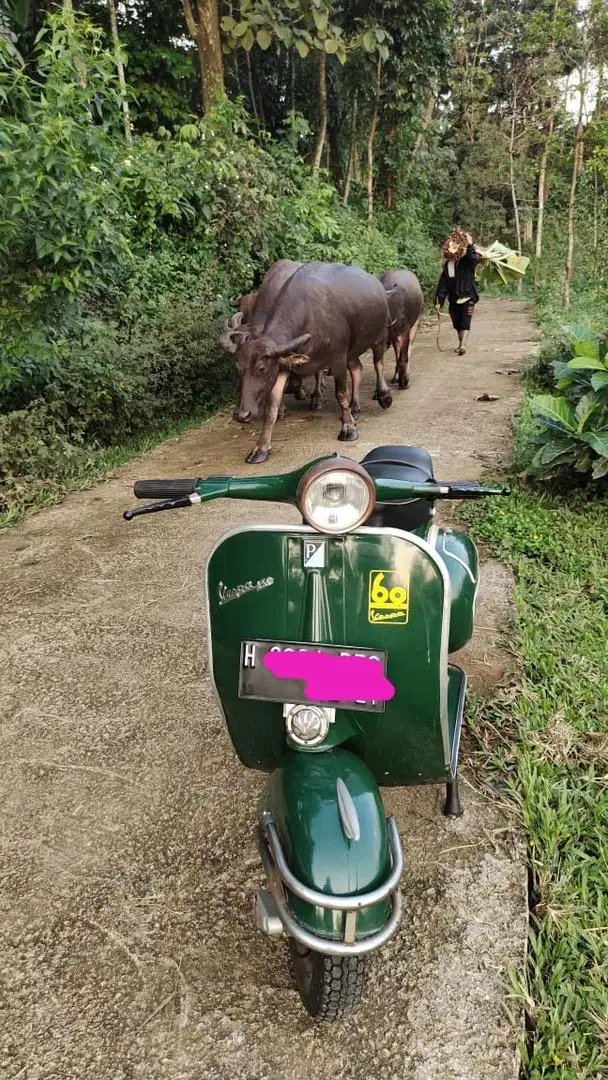 Vespa VBB 1965 / vespa ndhog