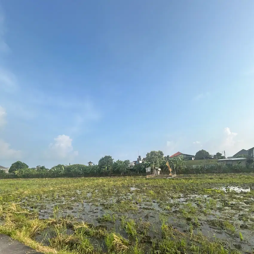 dijual tanah pamogan