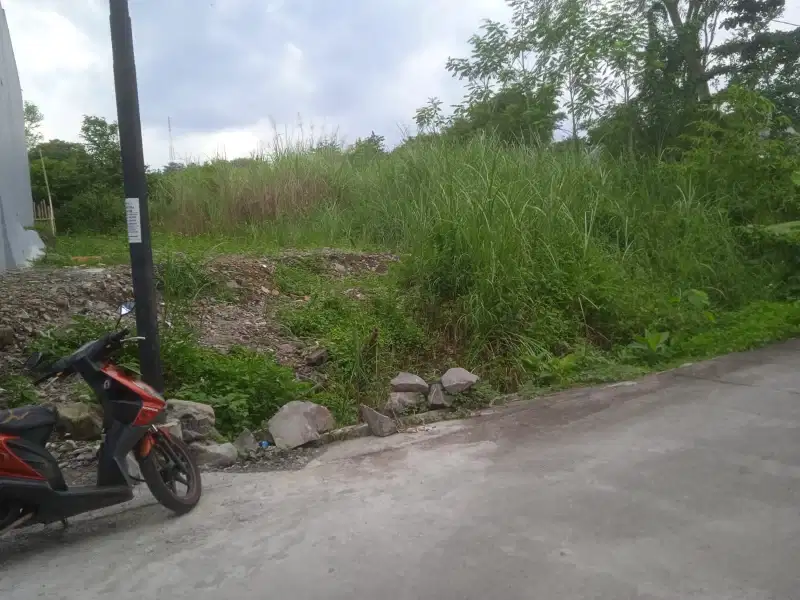 Tanah Jangli Semarang Dkt Undip dan RSND