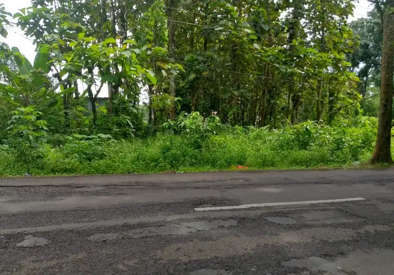 Jual Tanah di Jalan Raya Patemon Gunungpati 4 menit ke kampus UNNES 