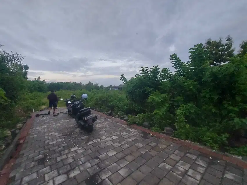 Dijual Tanah Kosong 5 Are Lokasi Tenang dan Sepi di Goa Gong, Ungasan.