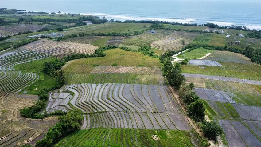 Di jual Tanah Di Tibubiyu Tabanan Bali, dekat ke pantai Pasut.