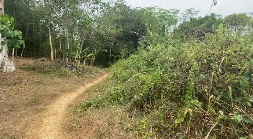Jual Tanah 4 ha Munjul Purwakarta