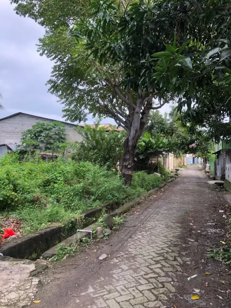 TANAH MURAH UNTUK LOKASI TEMPAT TINGGAL
