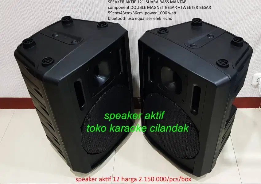 SPEAKER AKTIF 12   component DOUBLE MAGNET BESAR +TWEETER BESAR 59cmx