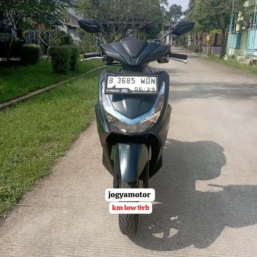 Yamaha Freego S Th.2024