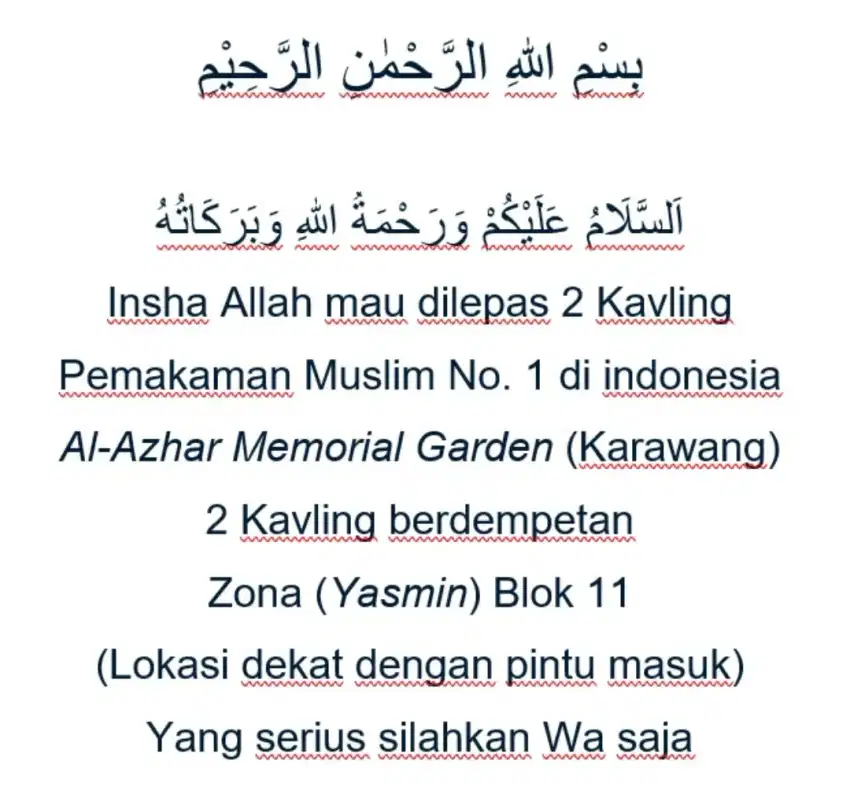 Over kepemilikan 2 Kavling Pemakaman Al Azhar