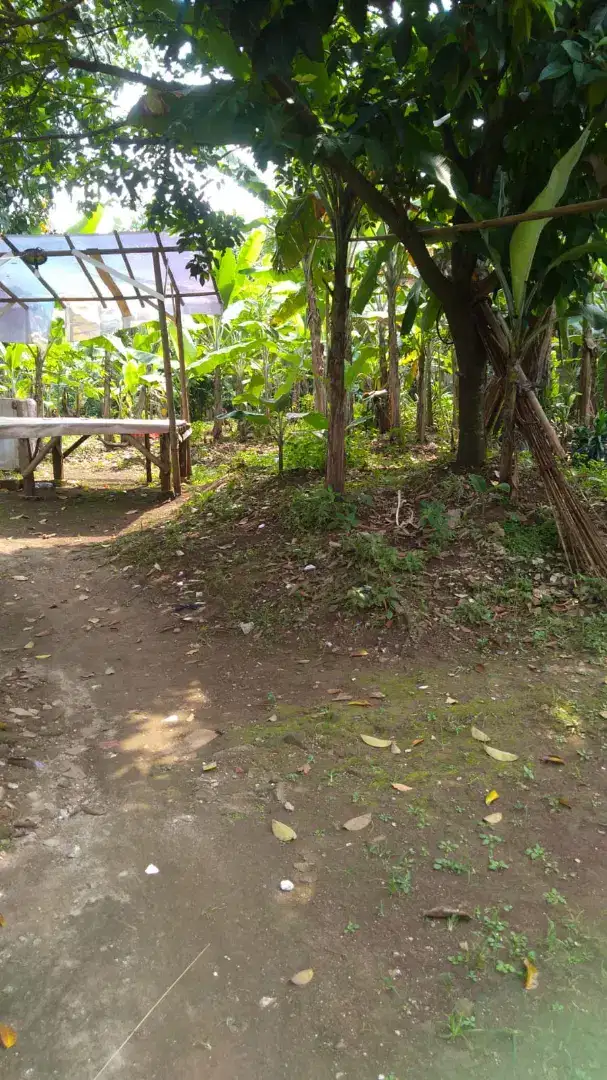 Dijual tanah dekat dengan Serpong city paradise