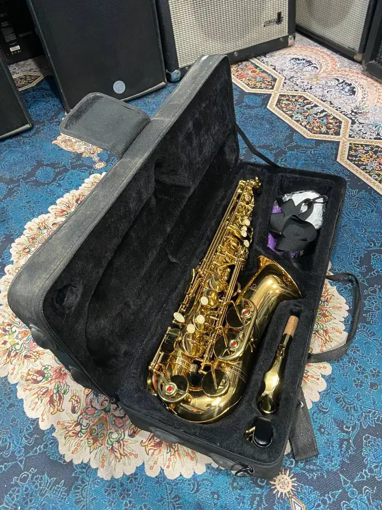 Saxophone Alto Paladin include Case