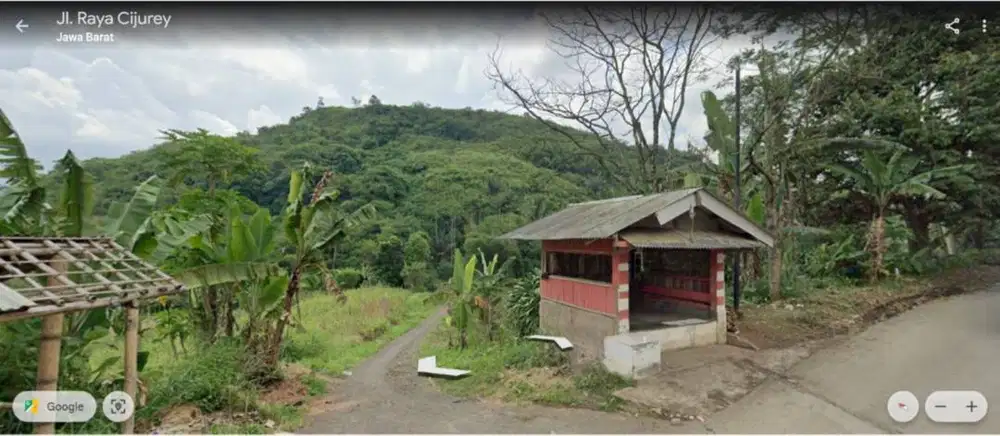 Lahan cocok untuk perkebunan & peternakan