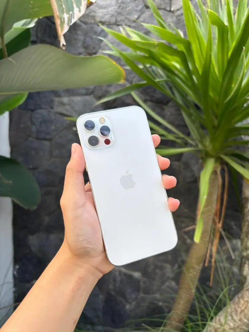 iPhone 12 pro 256 gb ex inter all operator