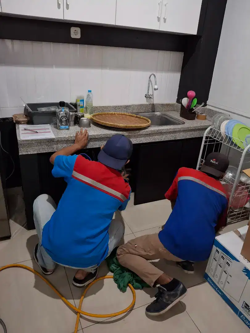 Basmi rayap anti rayap tukang rayap jasa antirayap