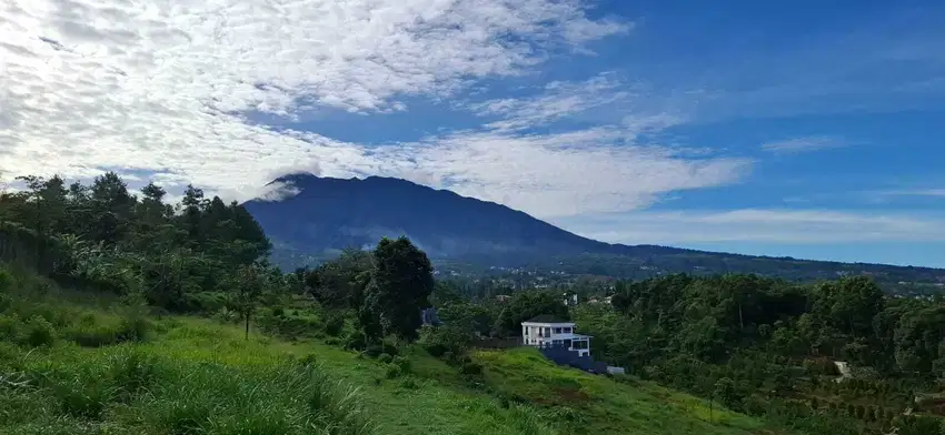 Tanah di puncak luas 2.157m2 megamendung bogor