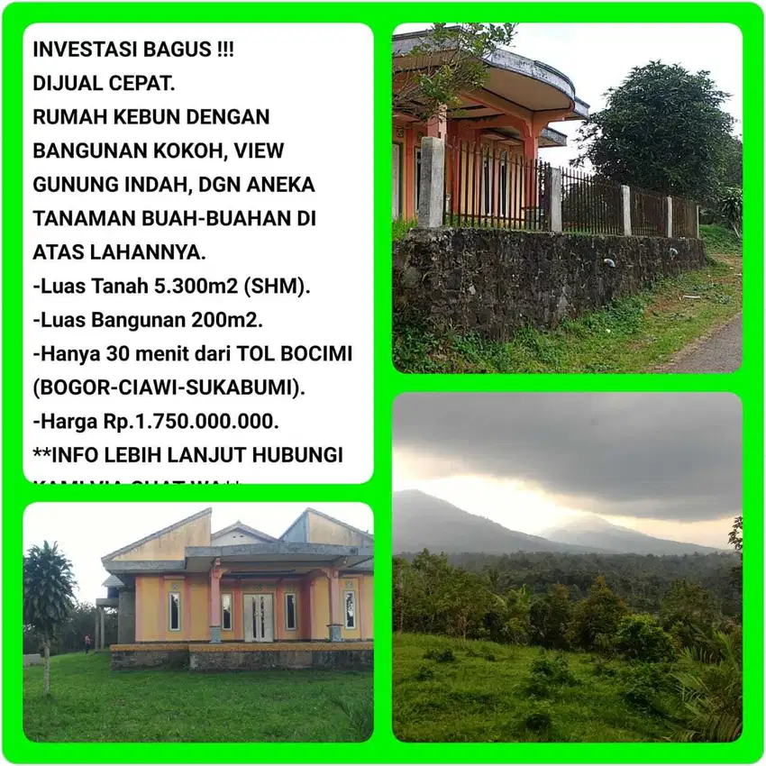 Kebun buah view indah bonus villa 30 menit ke tol Parungkuda -Bogor 9