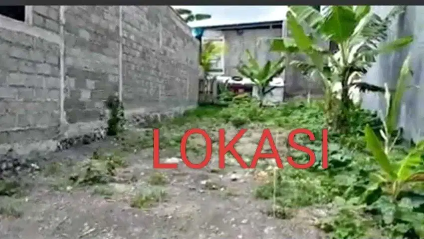 TANAH MURAH DI DENPASAR TIMUR, LUAS 1 ARE(100M2)