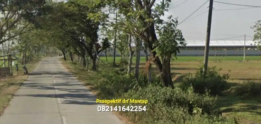 (L) Tanah Cantiq LD 47 mtr, Kawasan Industri Caruban MADIUN