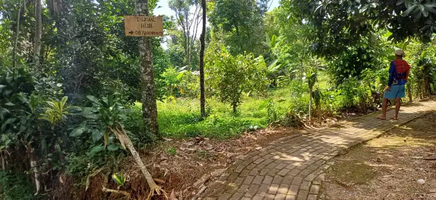 DIJUAL KEBUN MANGGIS & DURIAN