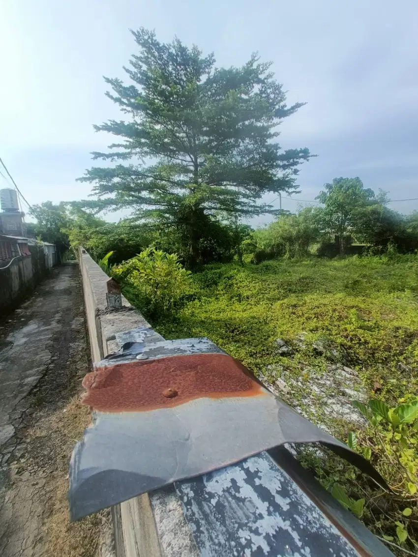 tanah brawa tandeg view sawah jalur hijau