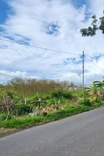 Dijual tanah lokasi jalan utama pantai seseh