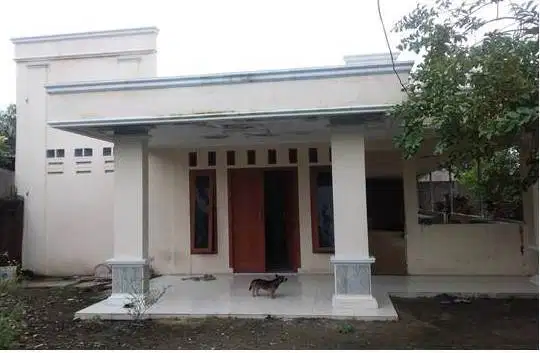 RUMAH GEDE + BONUS 4 RUKO KOMERSIL DI JLN RAYA PROVINSI