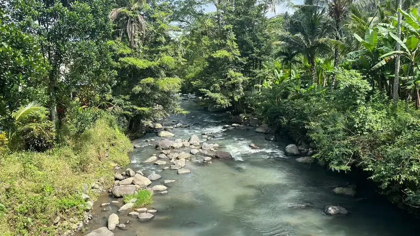 Jual tanah Luas kecil Los sungai cantik di tabanan bali.