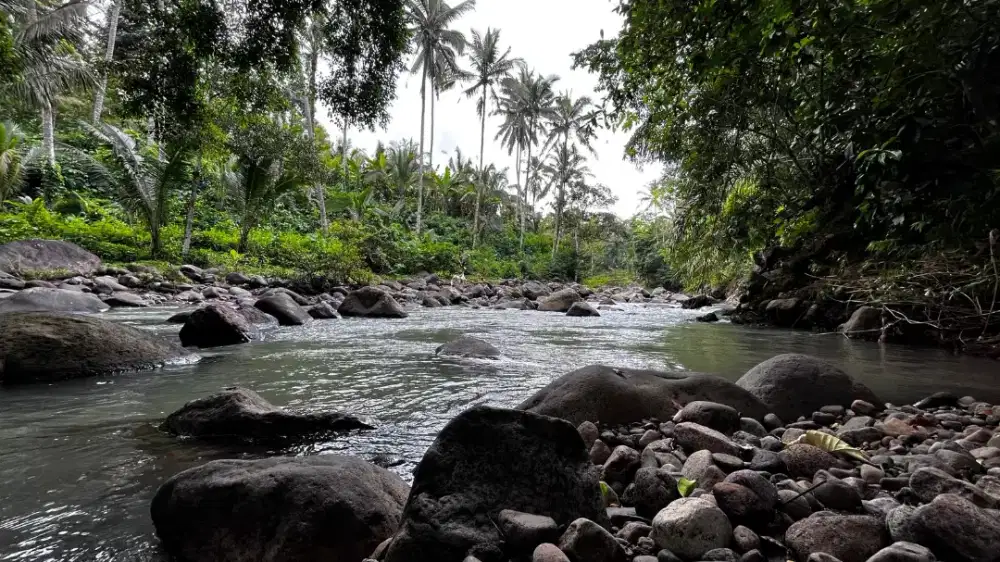 Jual tanah Los sungai luas kecil di tabanan bali
