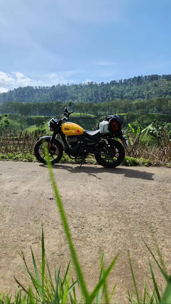Royal enfield Meteor 350, scrambler