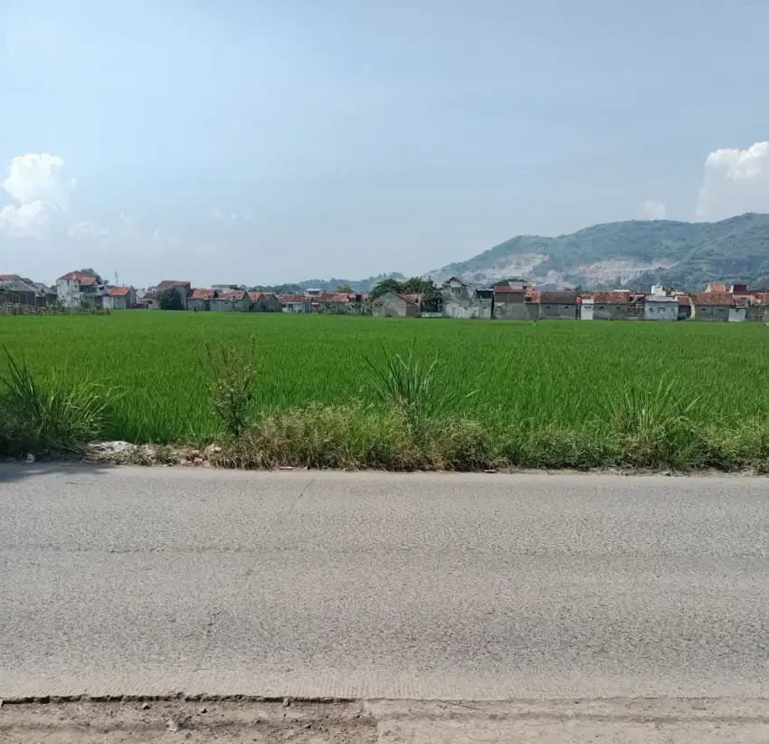 Jual tanah Sawah  pinggir jl desa luas tanah 1141