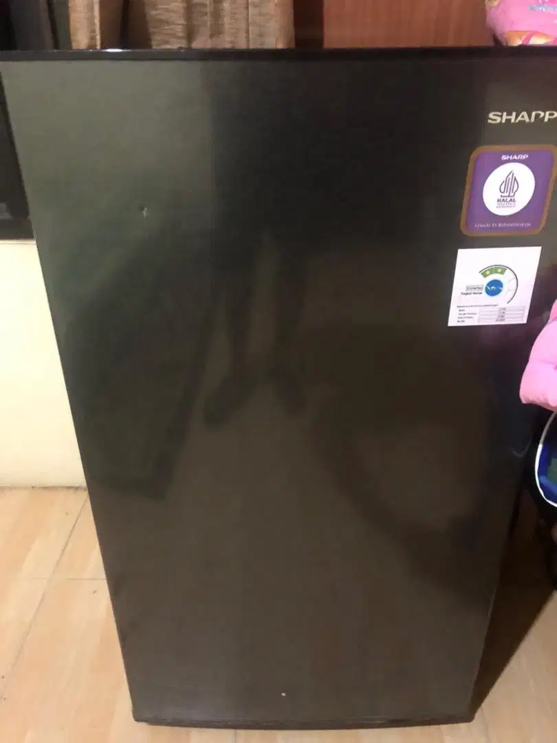 Kulkas sharp 1 pintu