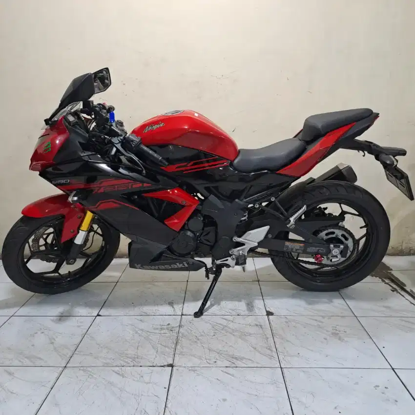 Kawasaki ninja 250 mono 2017 orisinil