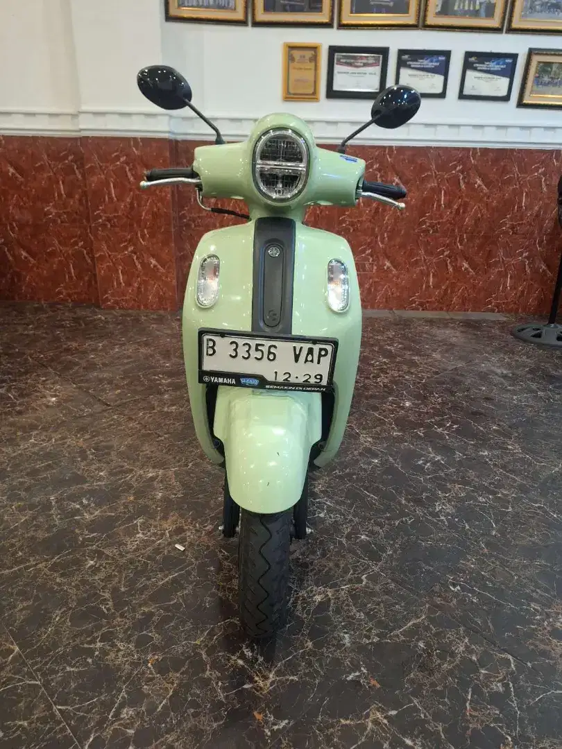 DP 500 RB PROMO FAZIO 2024 DI BANTU SAMPE ACC