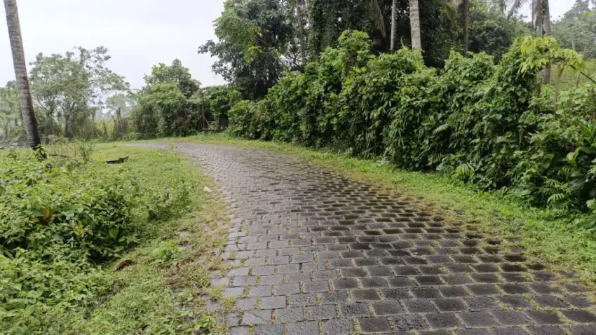 Jual tanah kebun 100 meter menuju pantai murah di Bali.