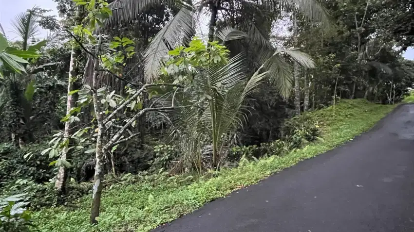 Jual tanah luas kecil area Villa desa wisata di tabanan Bali.