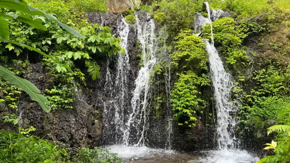 Jual tanah sumber mata air besar di tabanan bali