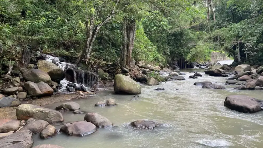 Jual tanah Los sungai cantik di tabanan bali