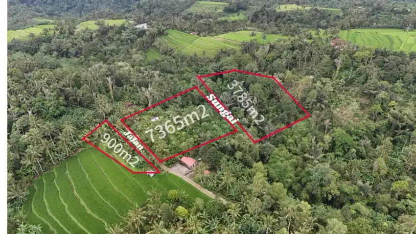 Jual tanah kebun murah Los sungai view sawah di tabanan bali