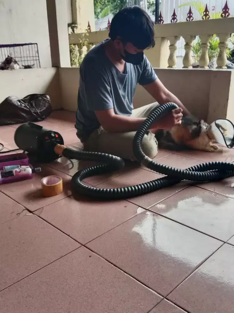 Groming Home servis murah