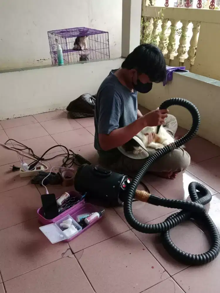 Groming Home servis murah