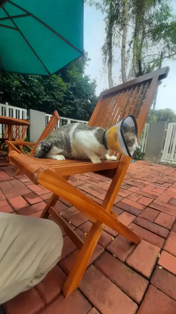 GROMING HOME SERVIS MURAH