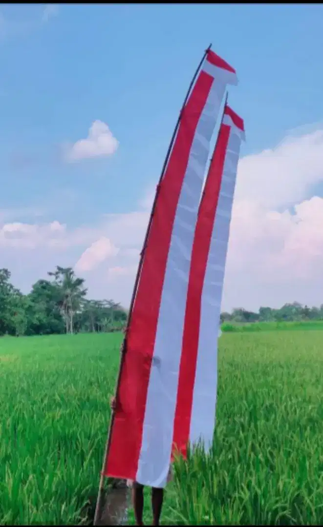 Umbul2 bagus dan murah