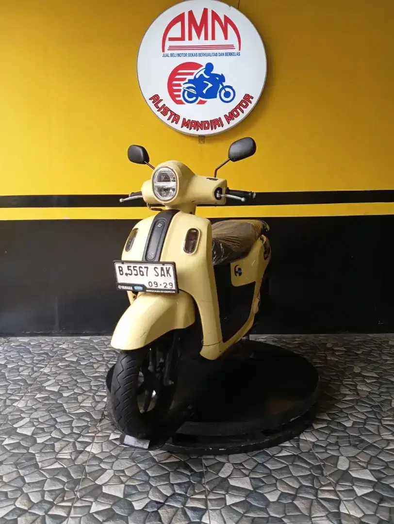 Fazzio Neo 2024