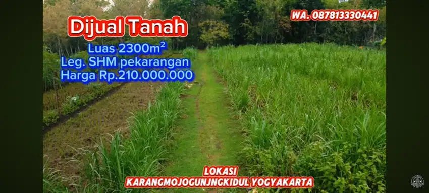 DIJUAL TANAH MURAH LUAS 2300M², LOKASI KARANGMOJO GUNUNGKIDUL