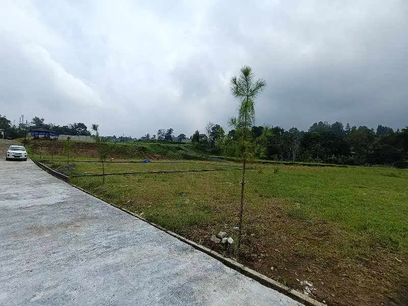 Kavlingan murah banget di puncak bogor
