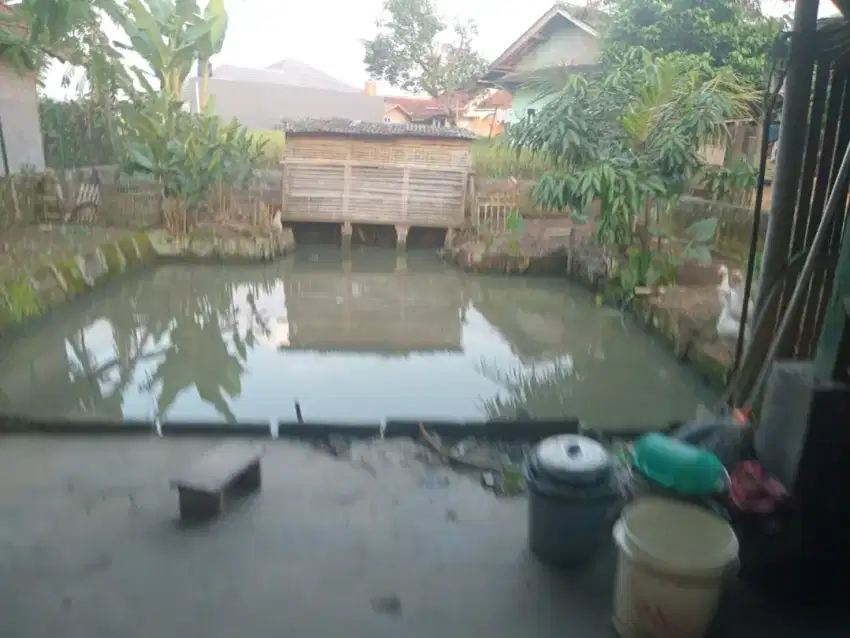 Jual tanah+rumah udah ada kolam ikan masuk motor luas 24tmbk
