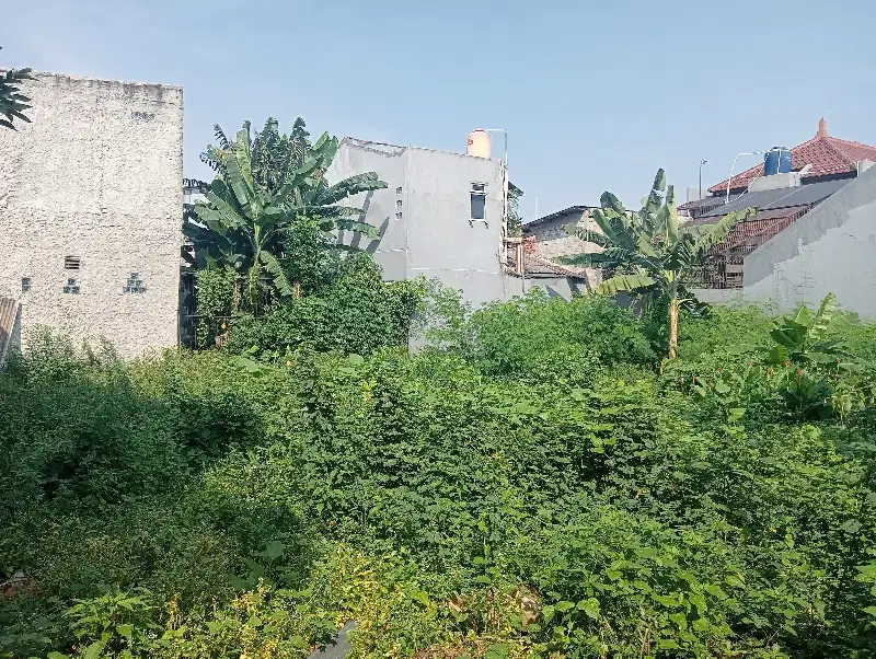 Dijual Tanah Siap Bangun Rumah di Kawasan Jagakarsa Jakarta Selatan