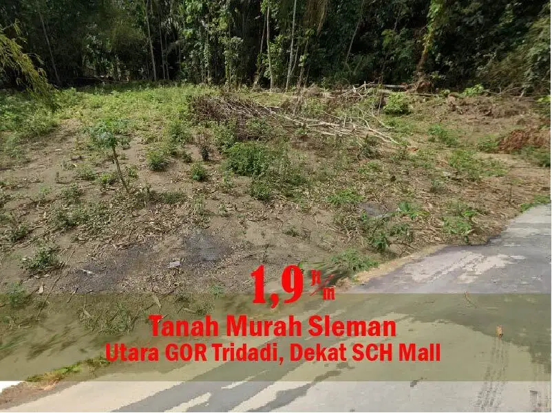 Tanah Murah Dekat Pemda Sleman, Cocok Tabungan Aset