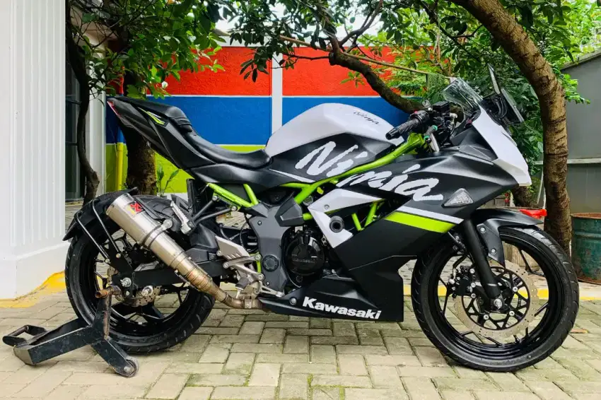 Ninja 250 sl mono 2020