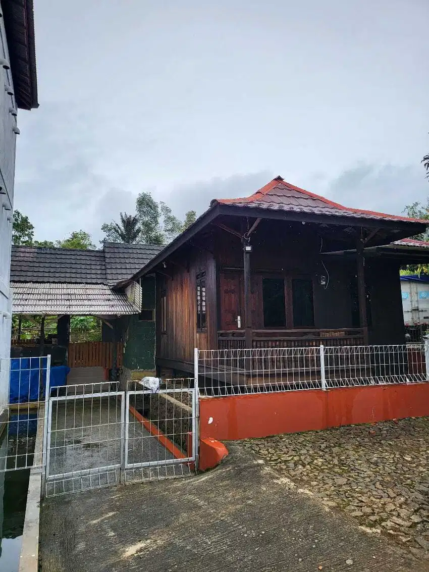 Di jual Kebun Buah Produktif Dan Perikanan