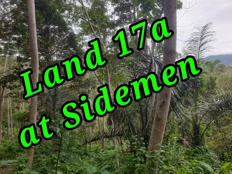 Land 17a for Sale at area Sidemen Traditional Village Bali