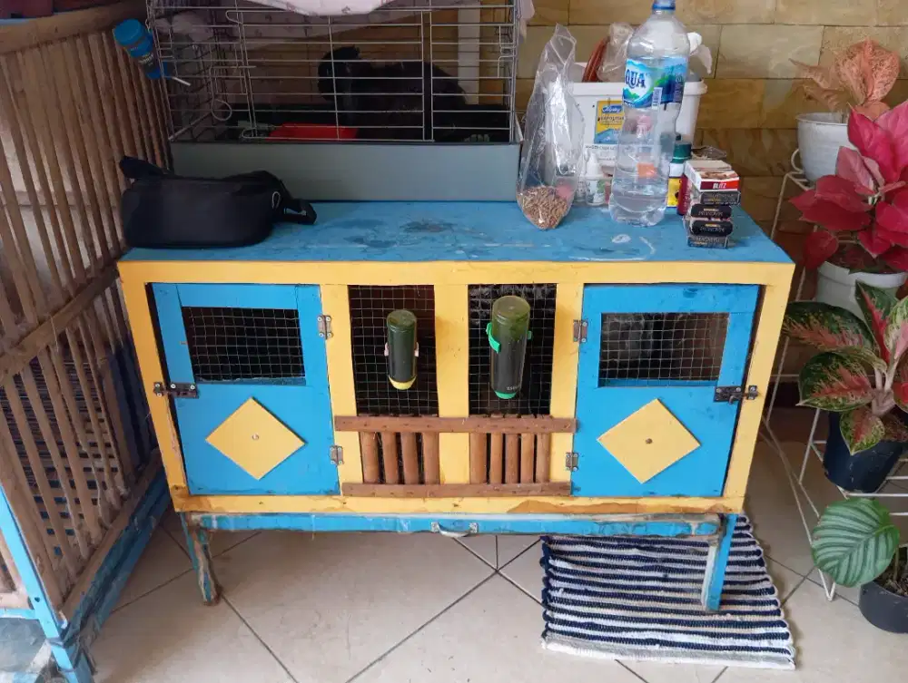 Kandang kelinci dan marmut Kayu murah